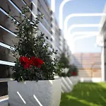 Rooftop Bottalico - Tra Policlinico E Stazione Appartement *