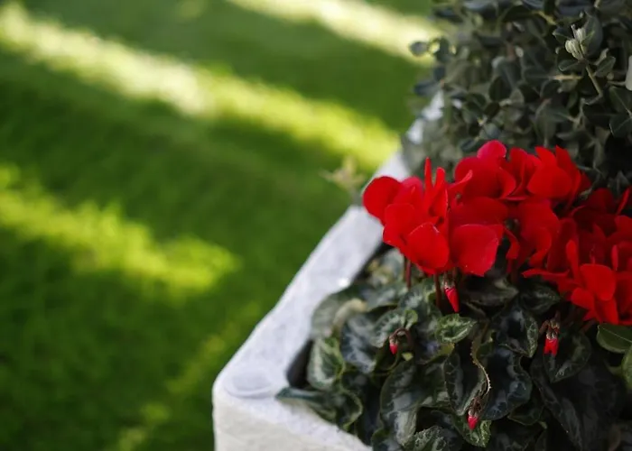 Appartamento Rooftop Bottalico - Tra Policlinico E Stazione *