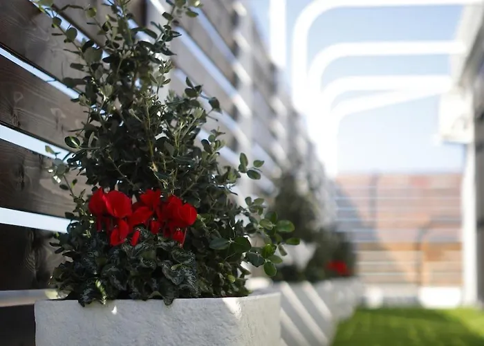 Rooftop Bottalico - Tra Policlinico E Stazione Appartamento *